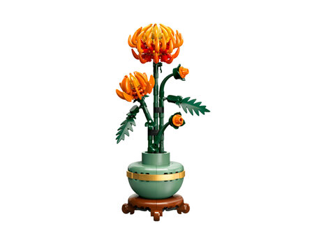 Chrysanthemum Flower