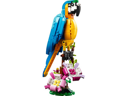 Creator Exotic Parrot