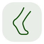 Foot icon