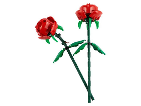 Iconic Roses