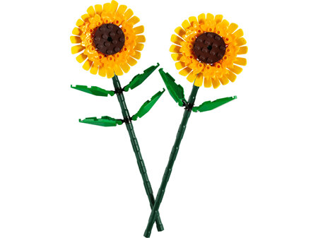 Iconic Sunflowers
