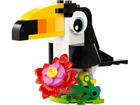 Tropical Toucan